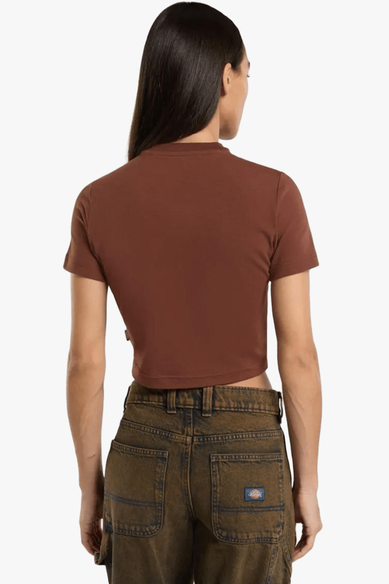 Dickies Camiseta Maple Valley Marrón 4/5