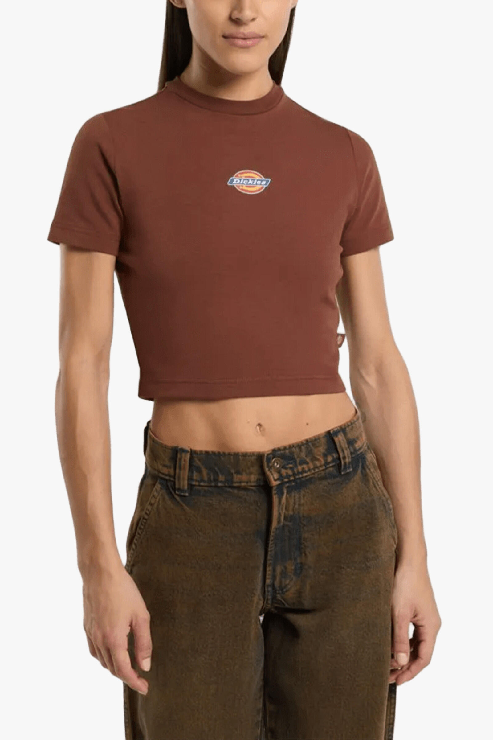 Dickies Camiseta Maple Valley Marrón 3/5