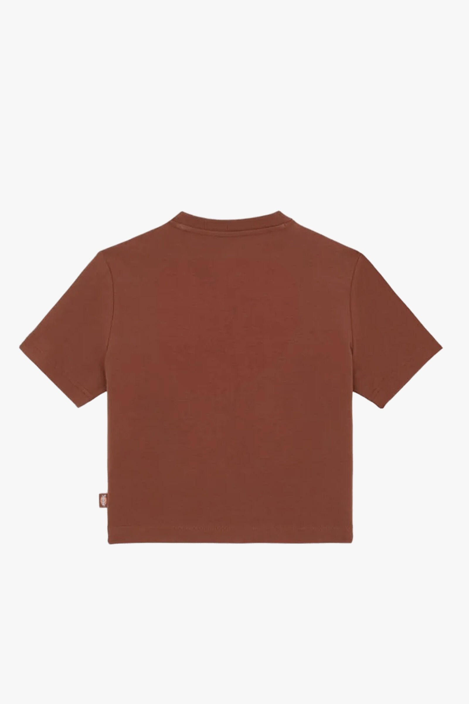 Dickies Camiseta Maple Valley Marrón 2/5