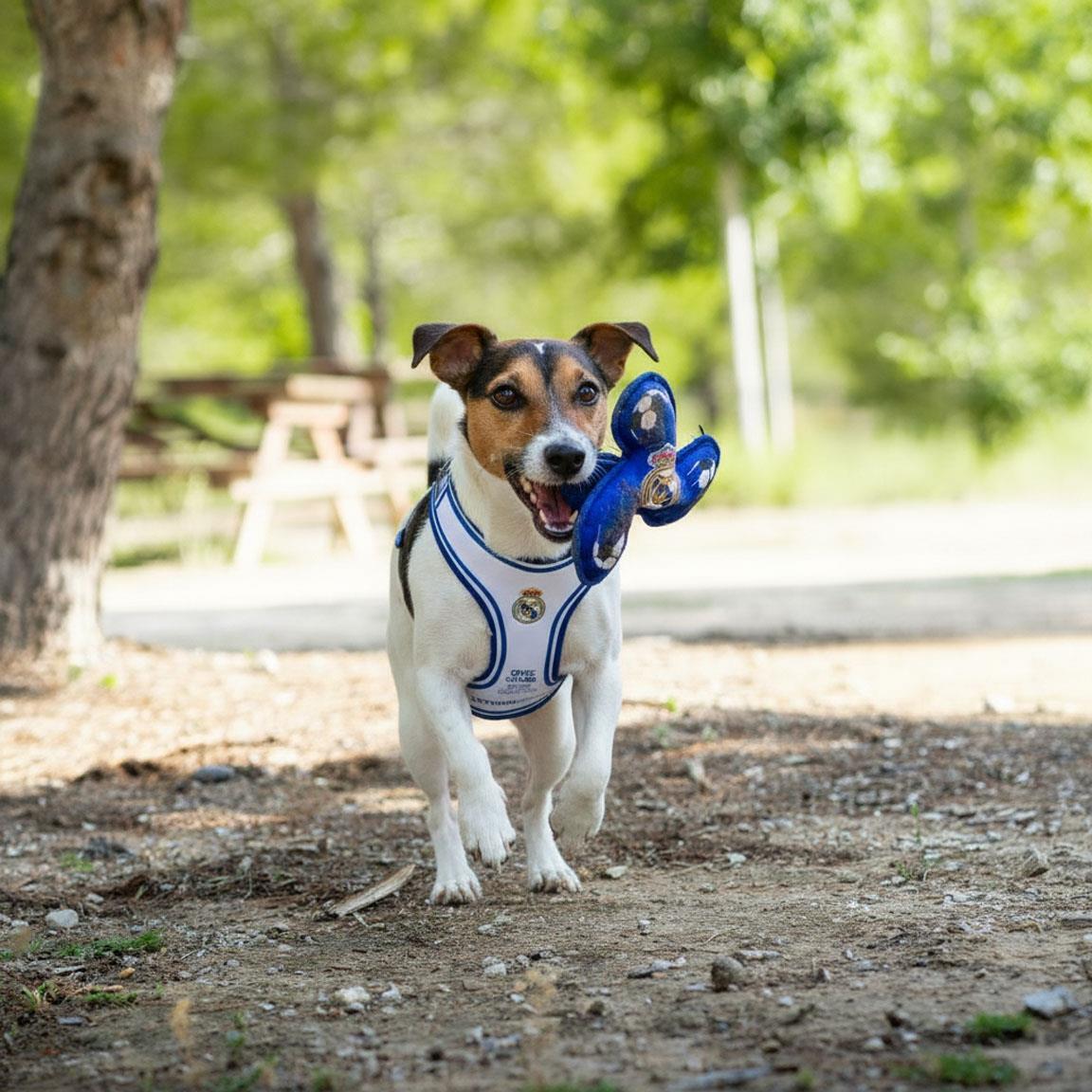 Jouet pour chien Real Madrid en TPR avec couineur, texture dentaire bleue 6/7