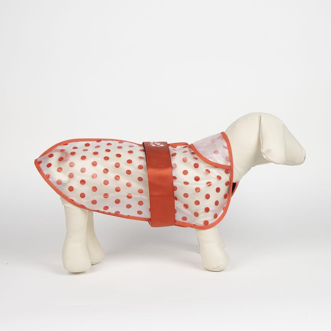 Imperméable pour chien Minnie Mouse, ajustable par fermeture velcro, blanc et 2/4