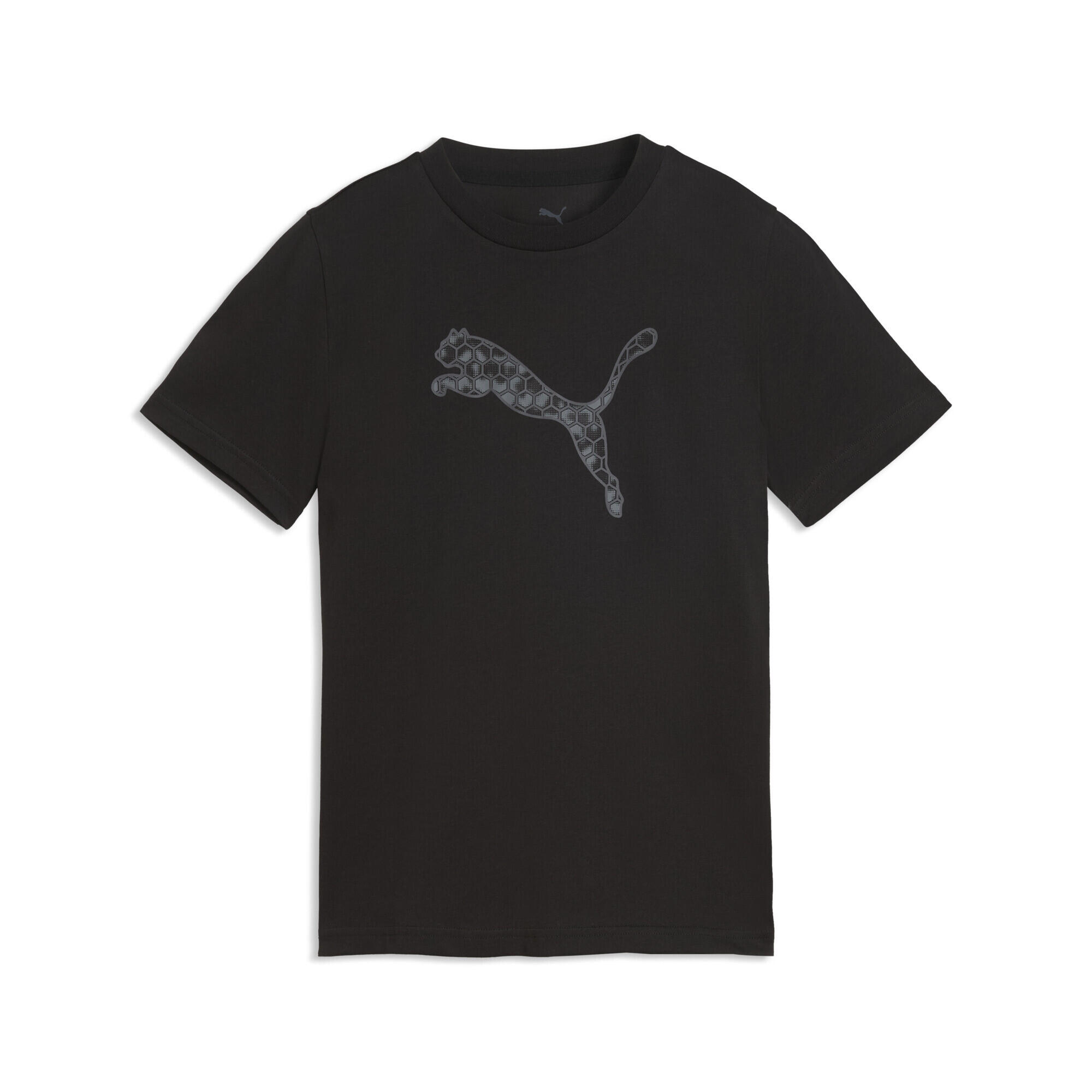 PUMA picture
