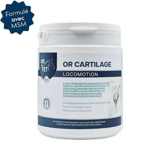 OR CARTILAGE – Формула с MSM