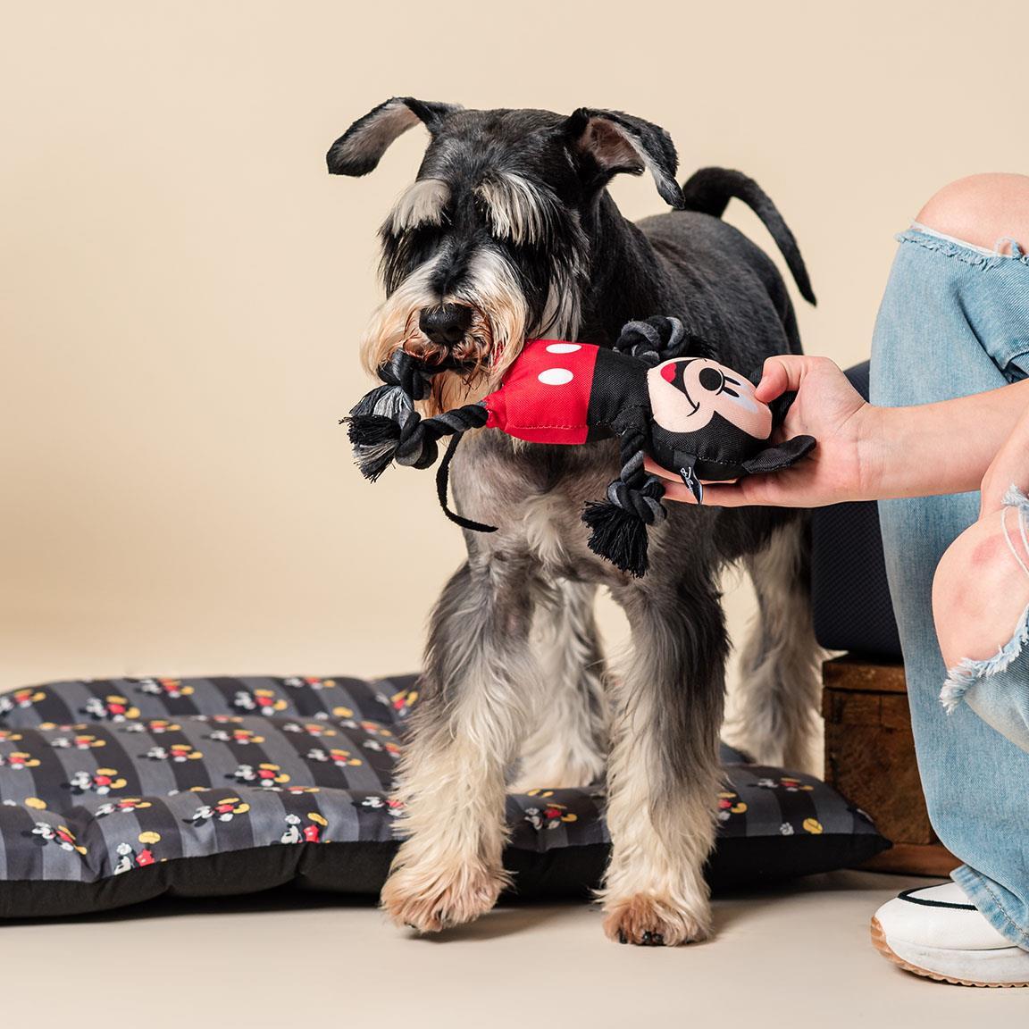 Jouet pour chien Mickey Mouse, corde dentaire avec nœuds, noir et rouge 7/7