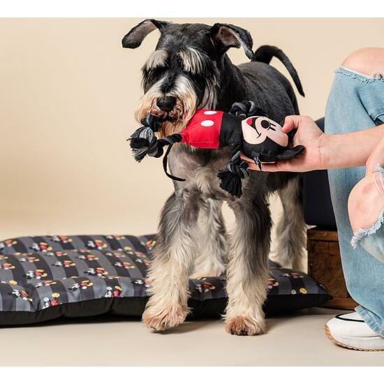 Jouet pour chien Mickey Mouse, corde dentaire avec nœuds, noir et rouge 6/7