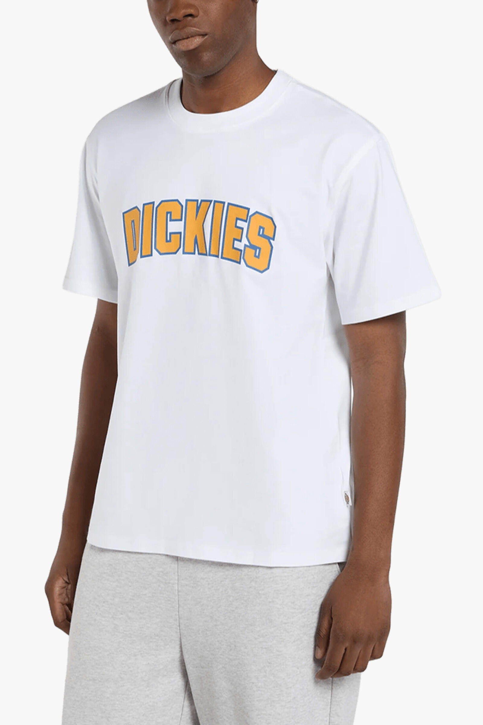 DICKIES picture