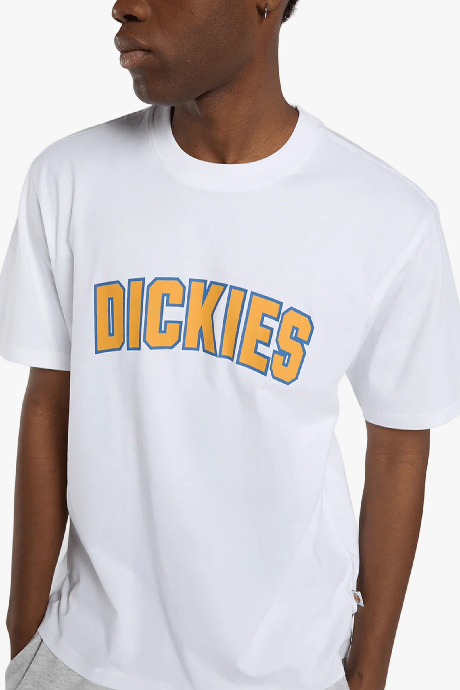 Dickies Camiseta Aitkin Blanco 4/4