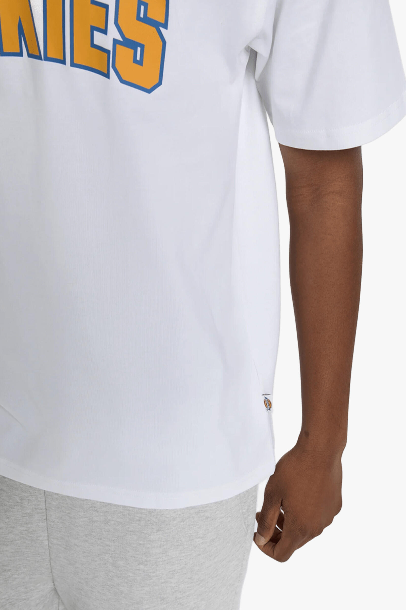 Dickies Camiseta Aitkin Blanco 3/4