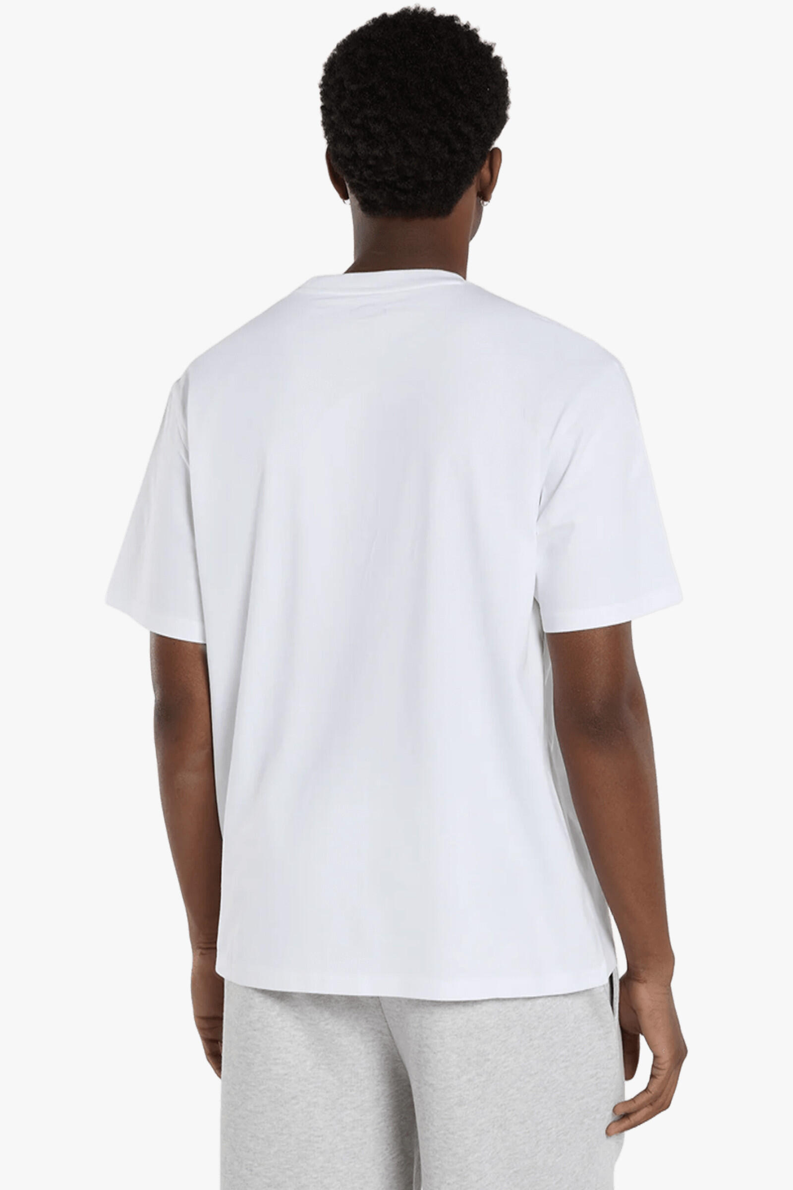 Dickies Camiseta Aitkin Blanco 2/4