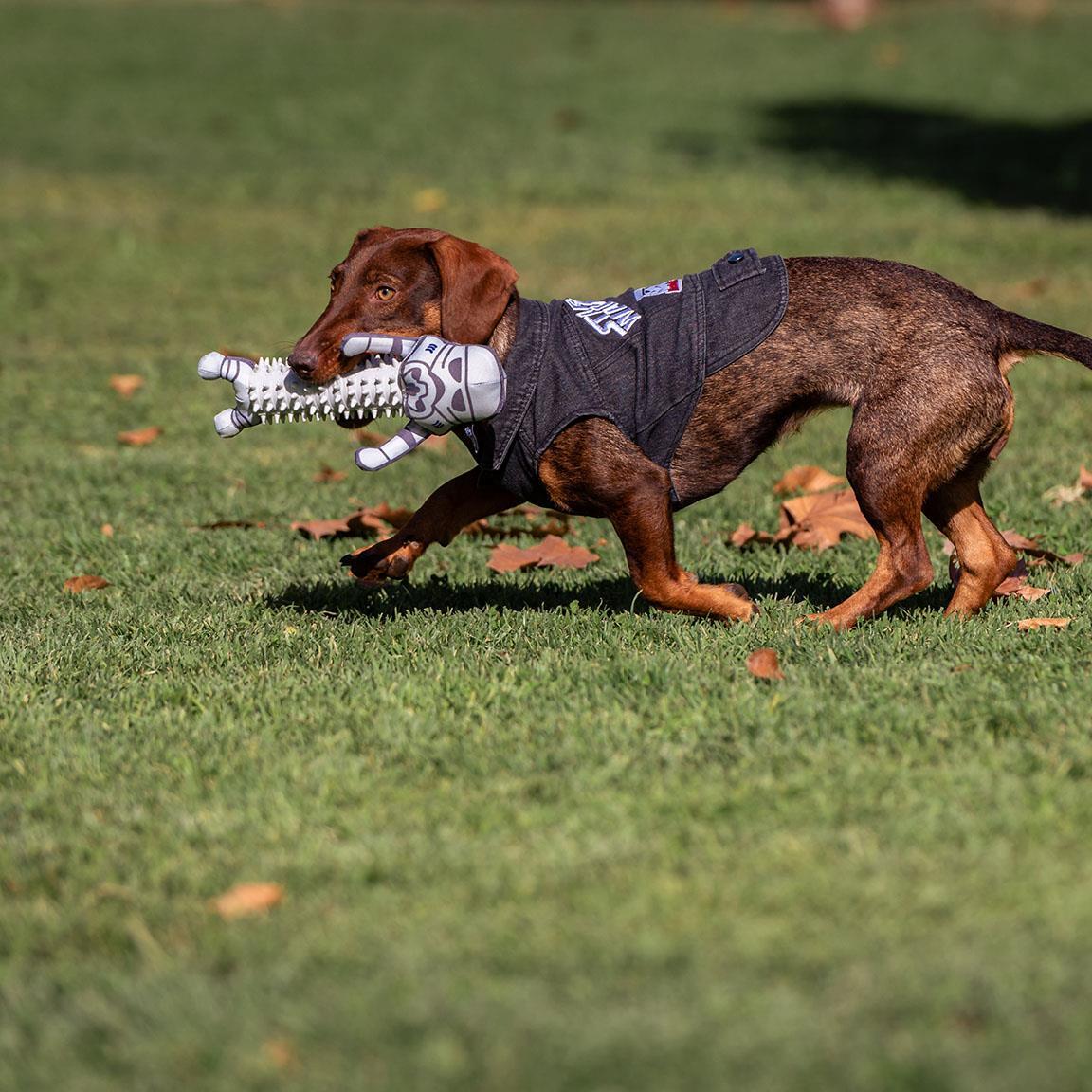 Veste en jean Star Wars pour chien, tissu doux avec écussons bleus 6/7