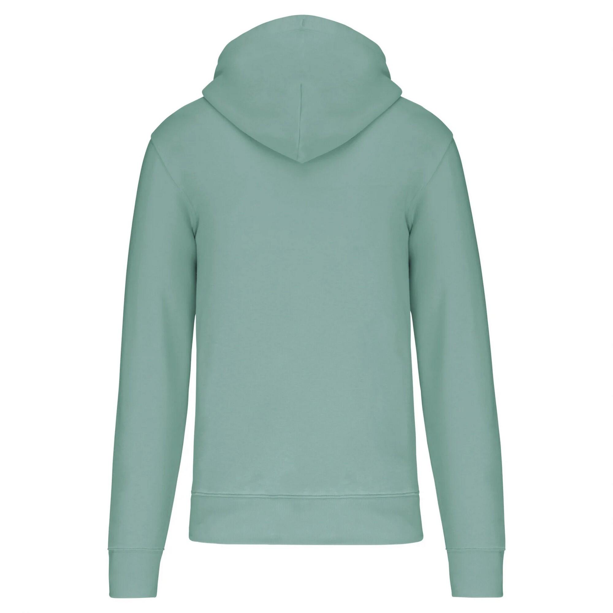 Veste À Capuche Homme (Vert De Gris) 2/3