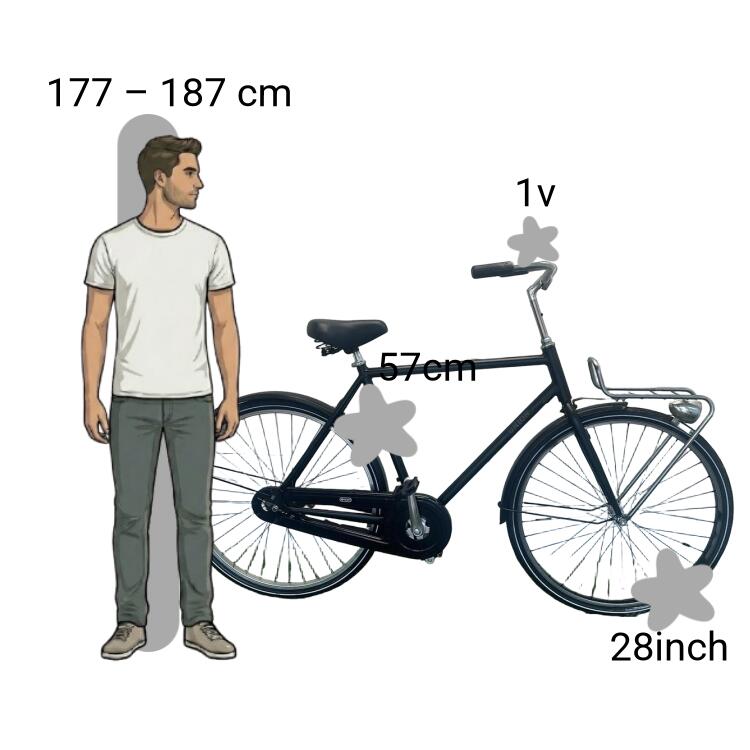 Vélo d’occasion Union Transportfiets 2/4