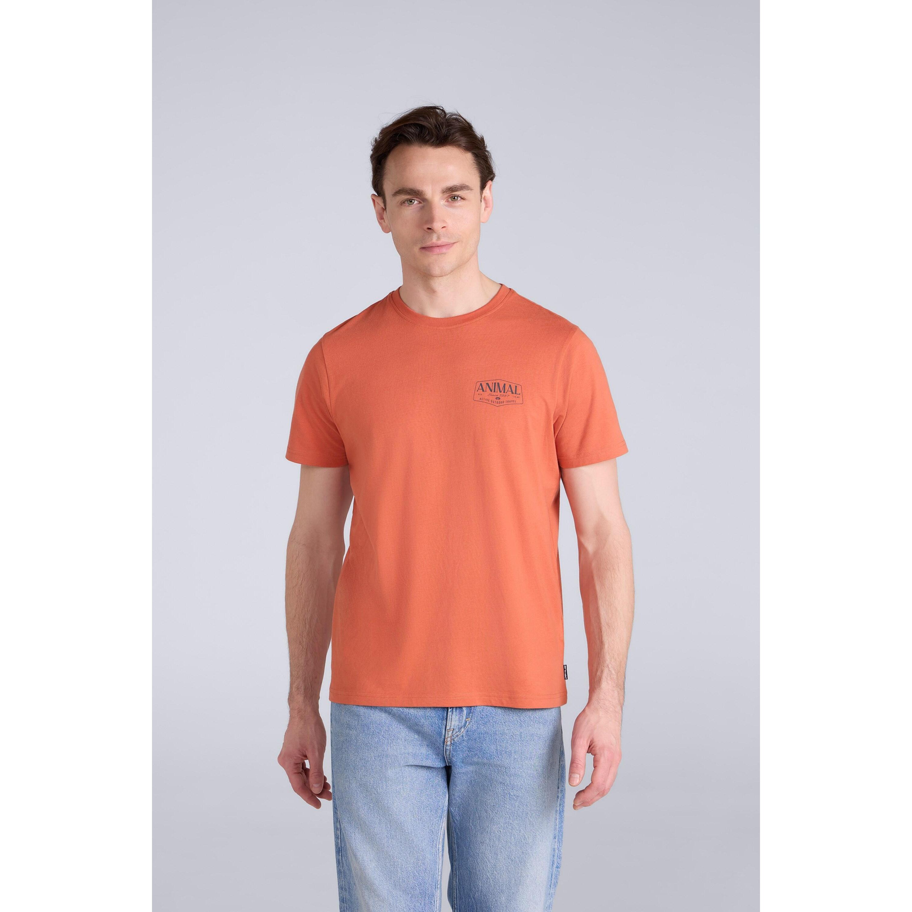vitaminorange