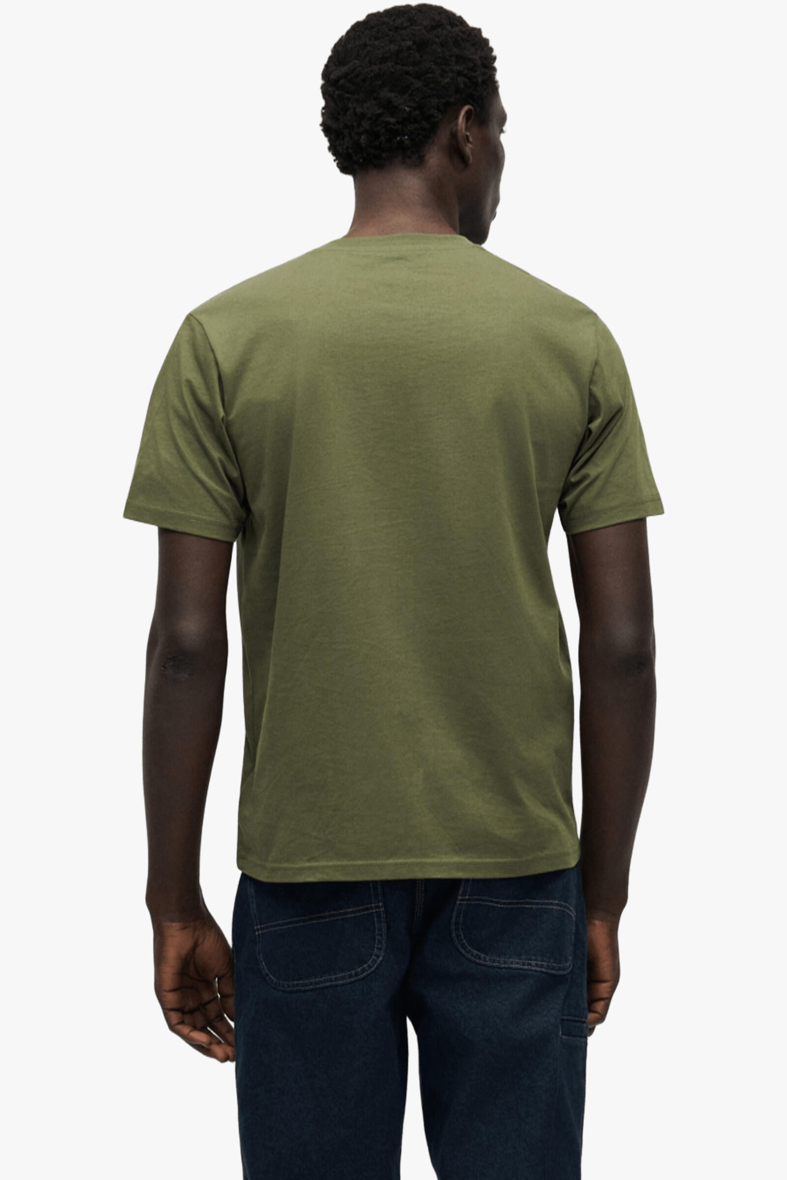 Dickies Camiseta Mapleton Verde 3/4