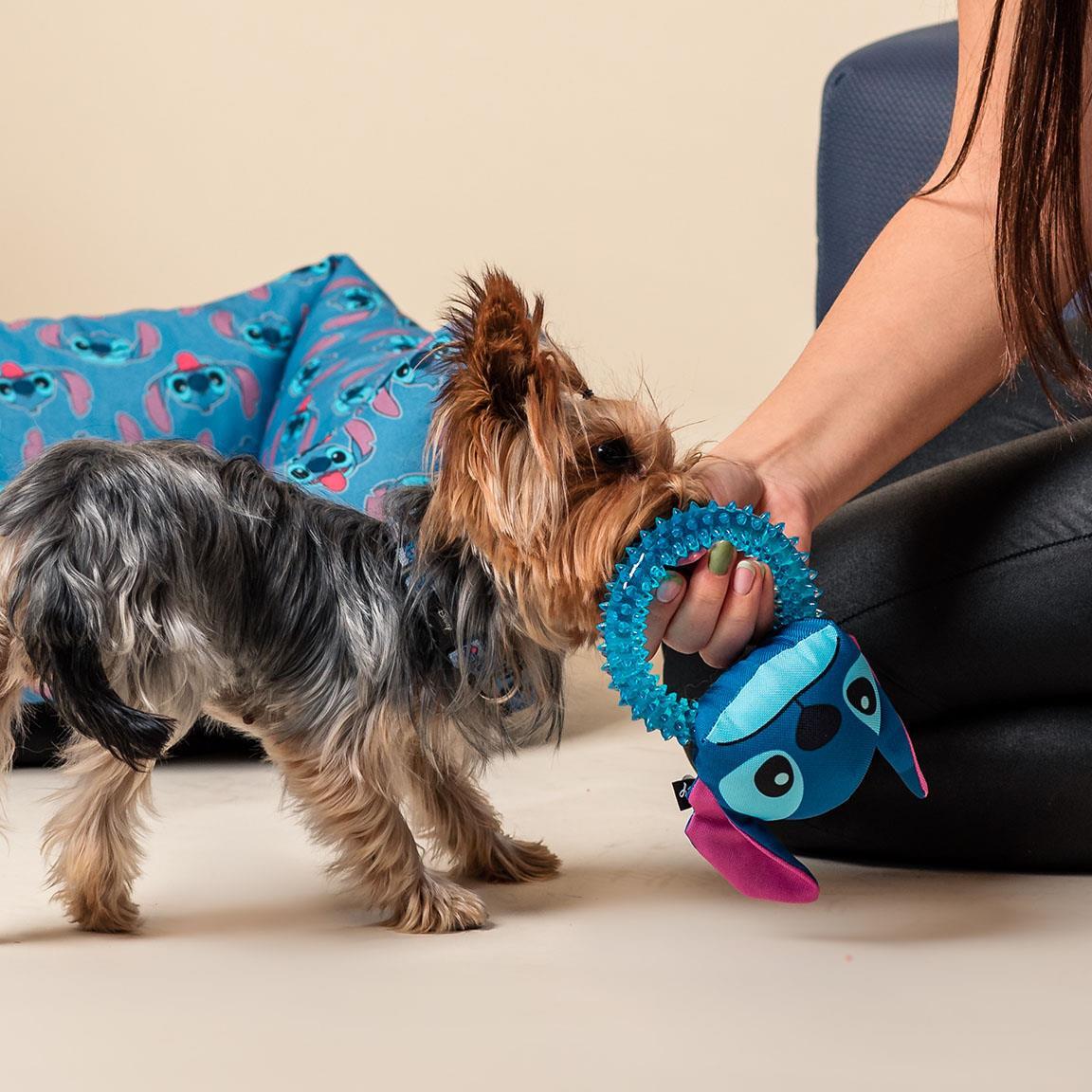 Brinquedo para mastigar Stitch Blue para cães, anel de borracha texturizada com 5/7