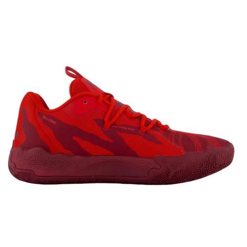 PUMA picture