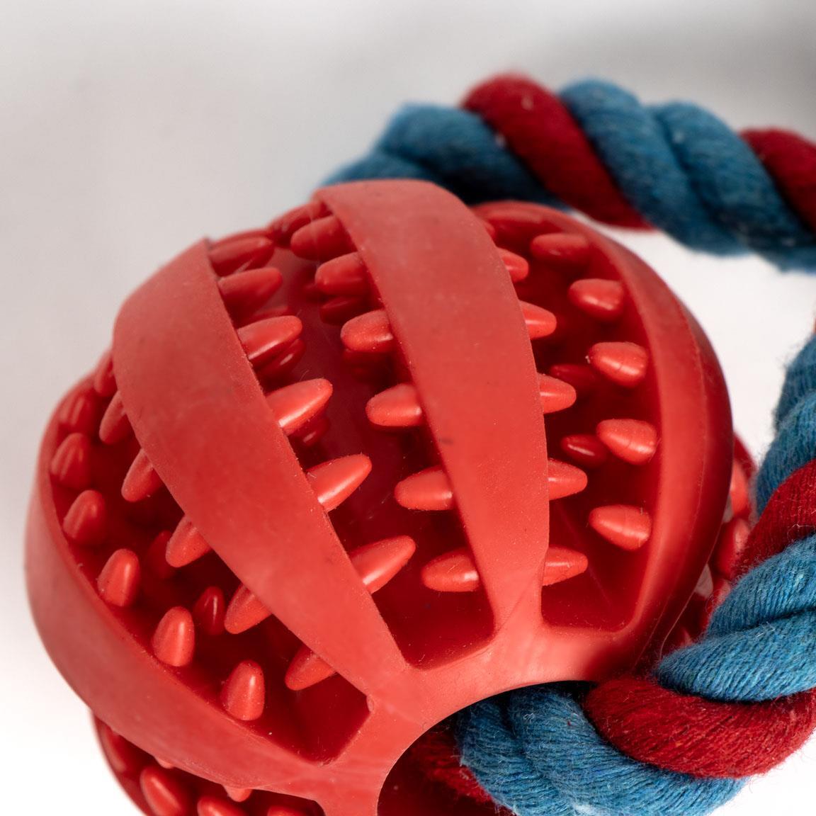 Corde à mâcher Spiderman pour chien, jouet à mâcher rouge et bleu 3/6