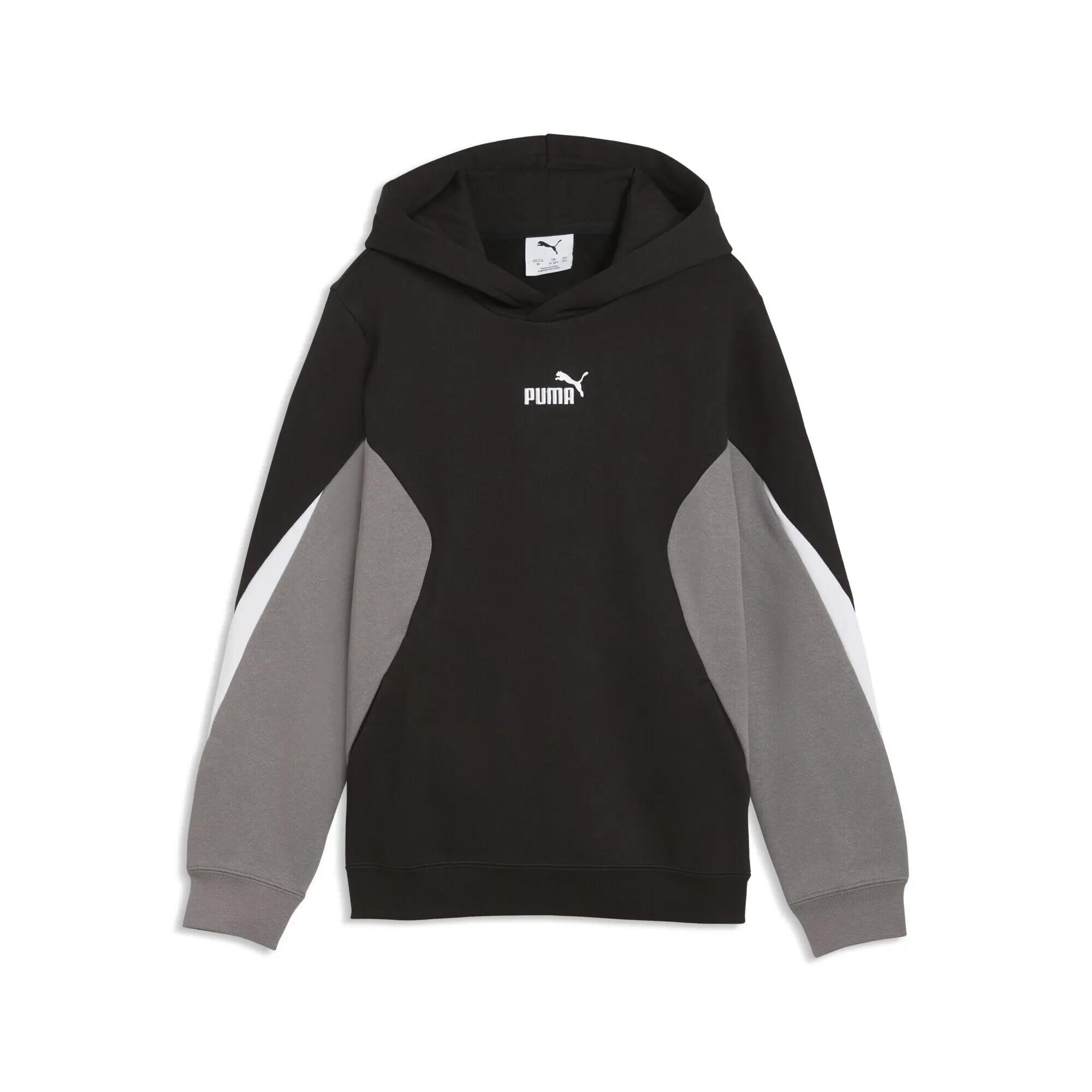 PUMA picture
