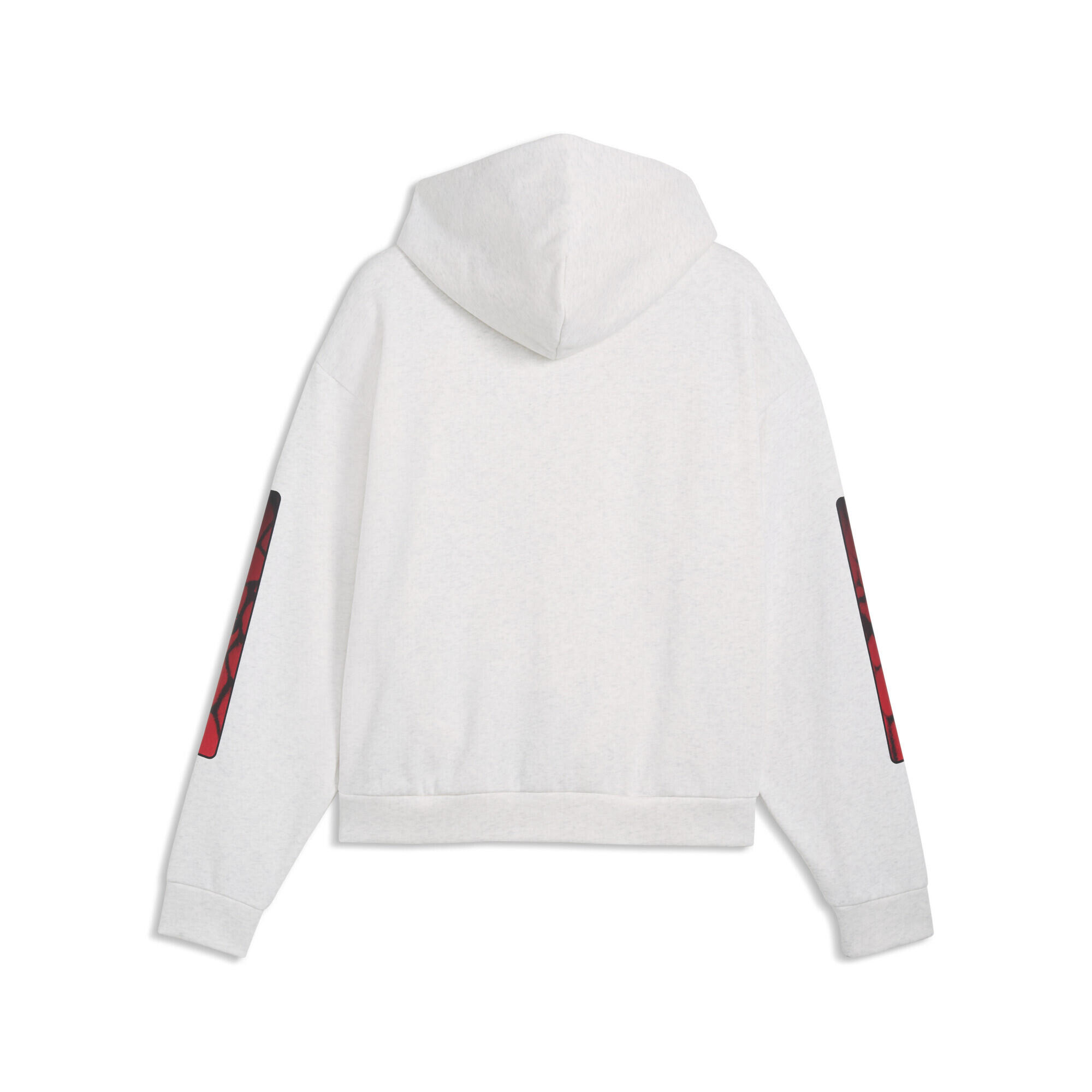 PUMA Sport Boxy Graphic Fleece Hoodie Herren PUMA 5/5