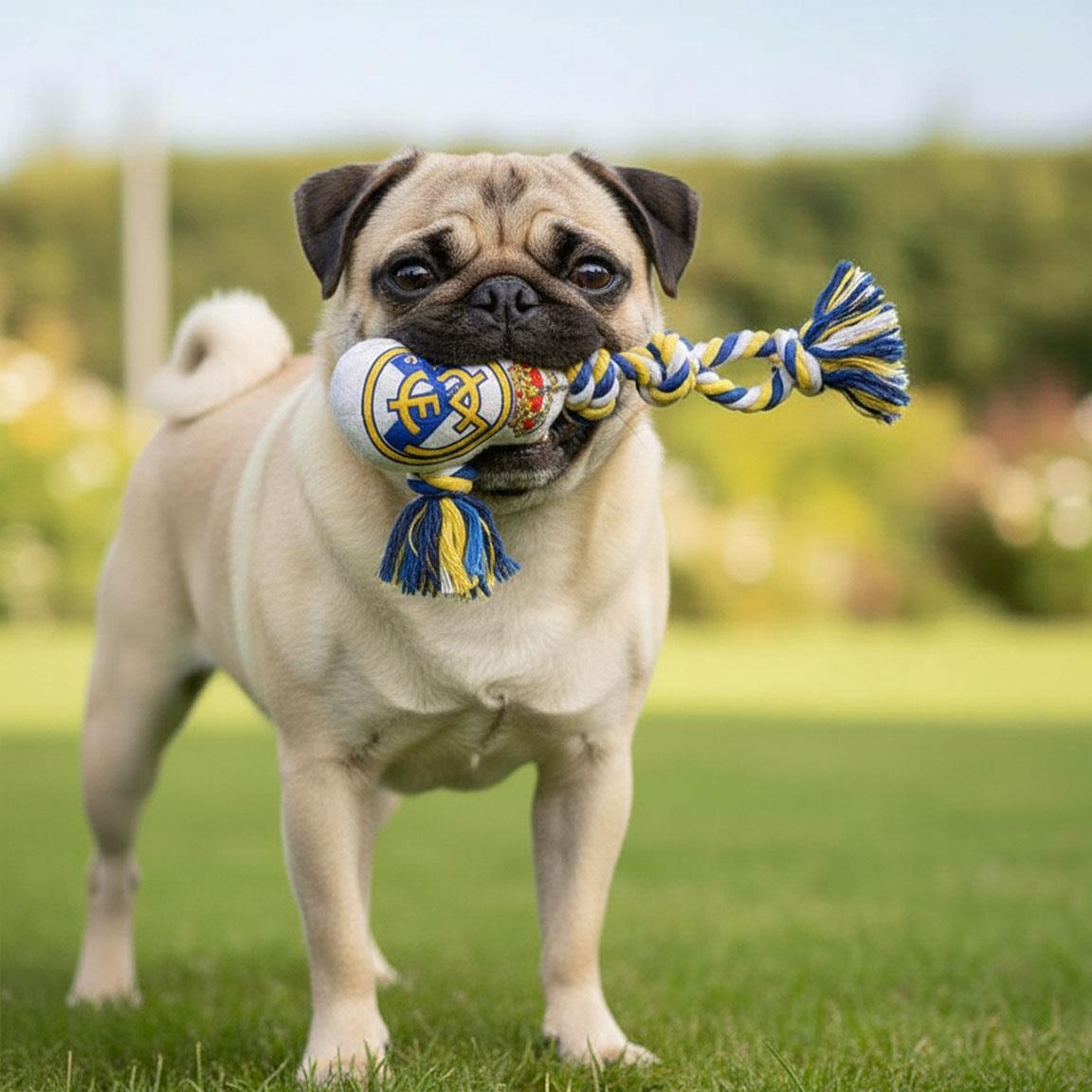 Corde à mâcher pour chien Real Madrid, bleue et blanche 6/7