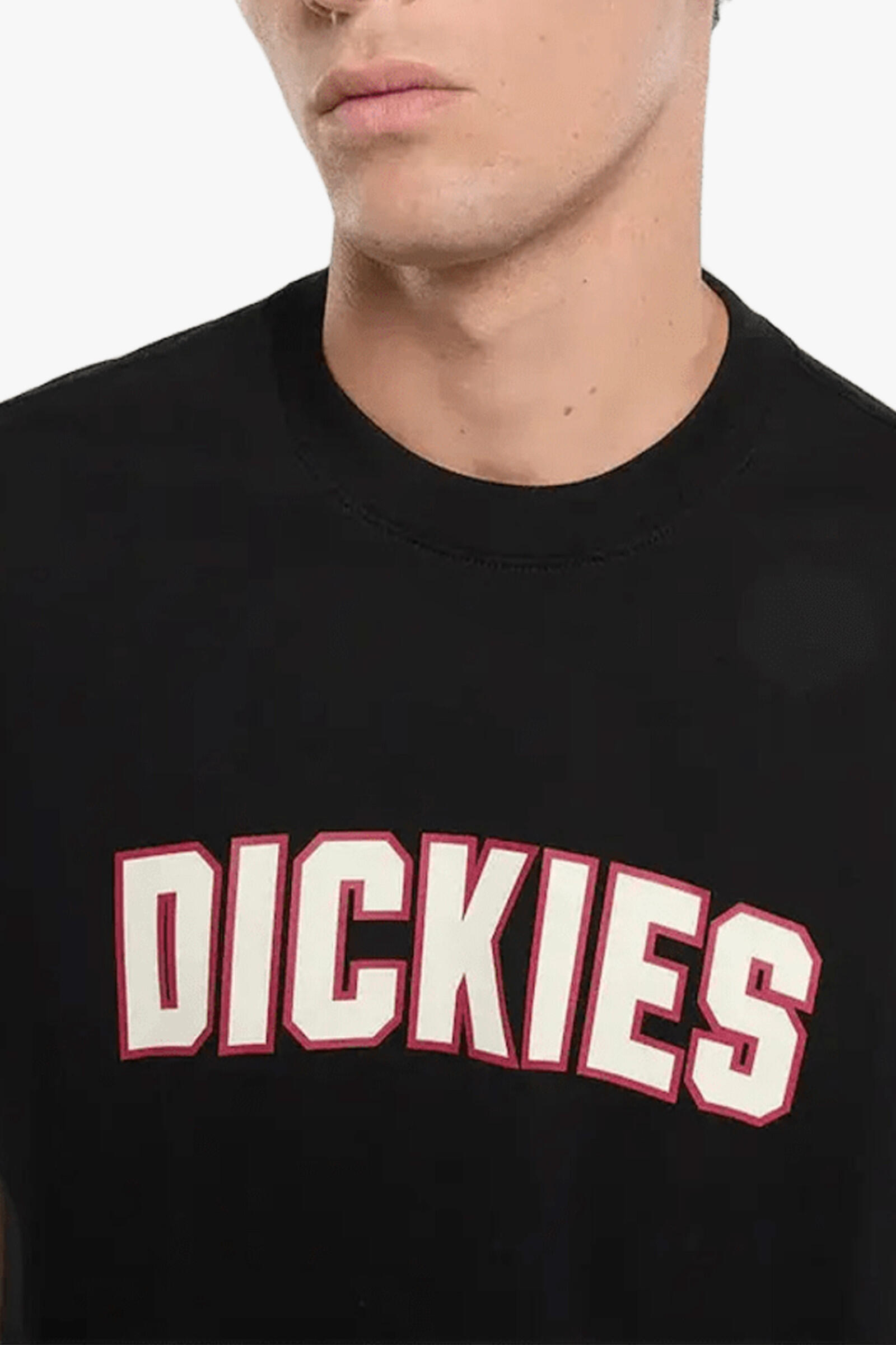 Dickies Camiseta Aitkin Negro 4/4