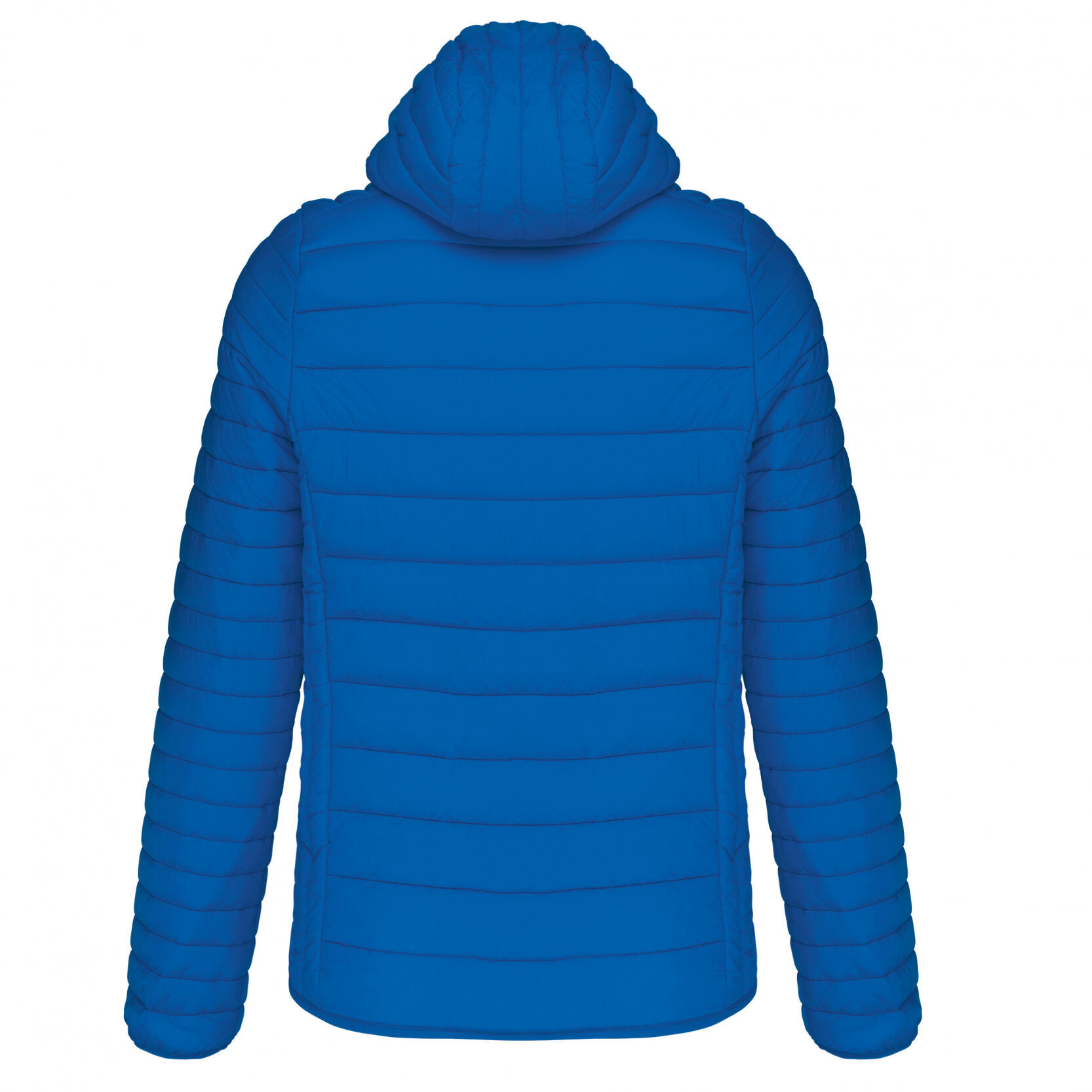 Steppjacke mit Kapuze für Herren Helles Königsblau 2/3