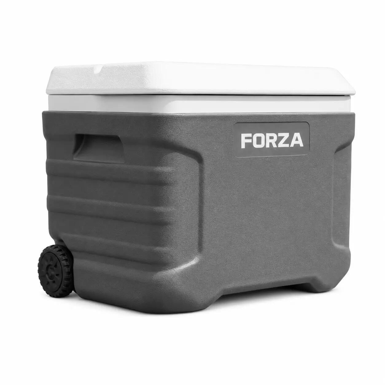 FORZA picture
