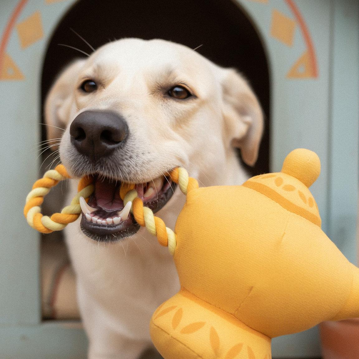 Geniales Hunde-Zahnspielzeug, strapazierfähiges geflochtenes Seil, gelb 7/7