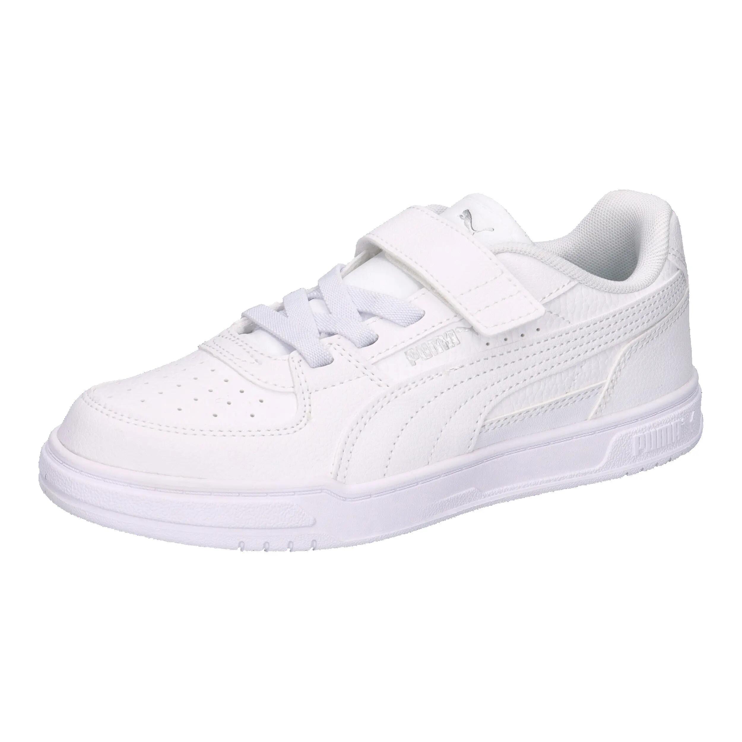 PUMA picture