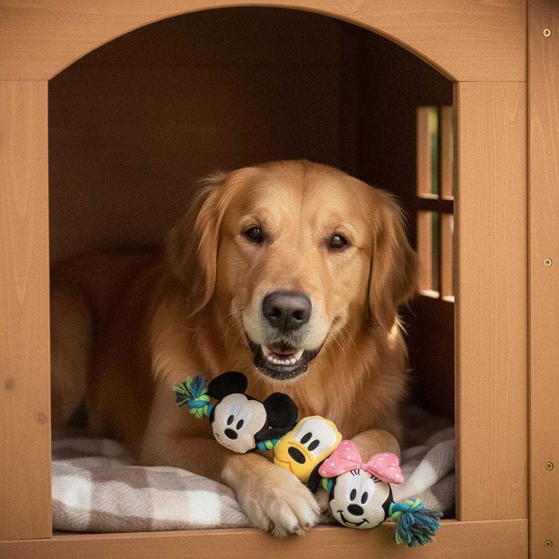 Mickey Mouse Hunde-Zahnspielzeug aus Seil, weicher, mehrfarbiger Stoff 7/7