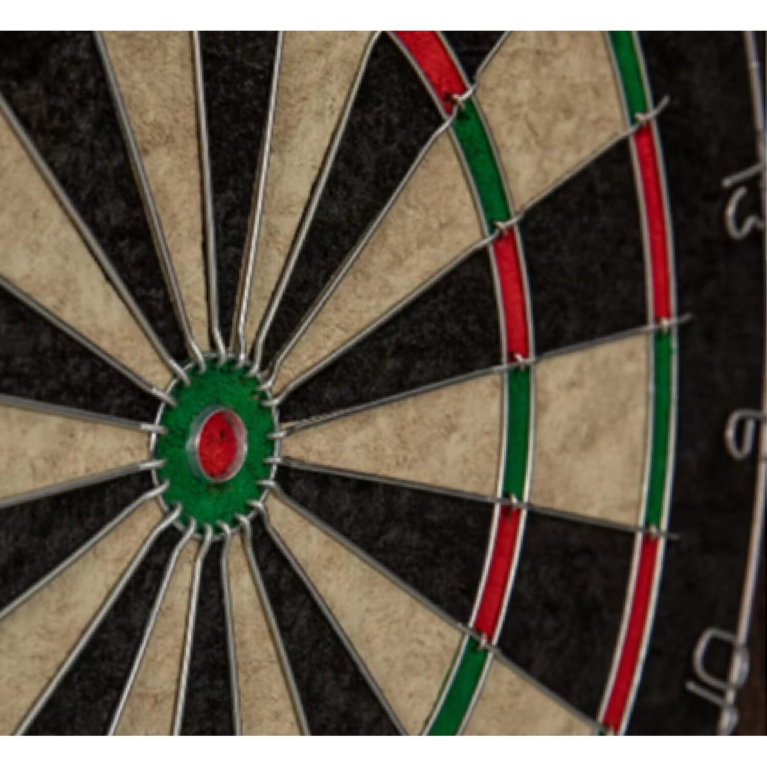 Gary Anderson Dartboard (Multicoloured) One Size 2/3