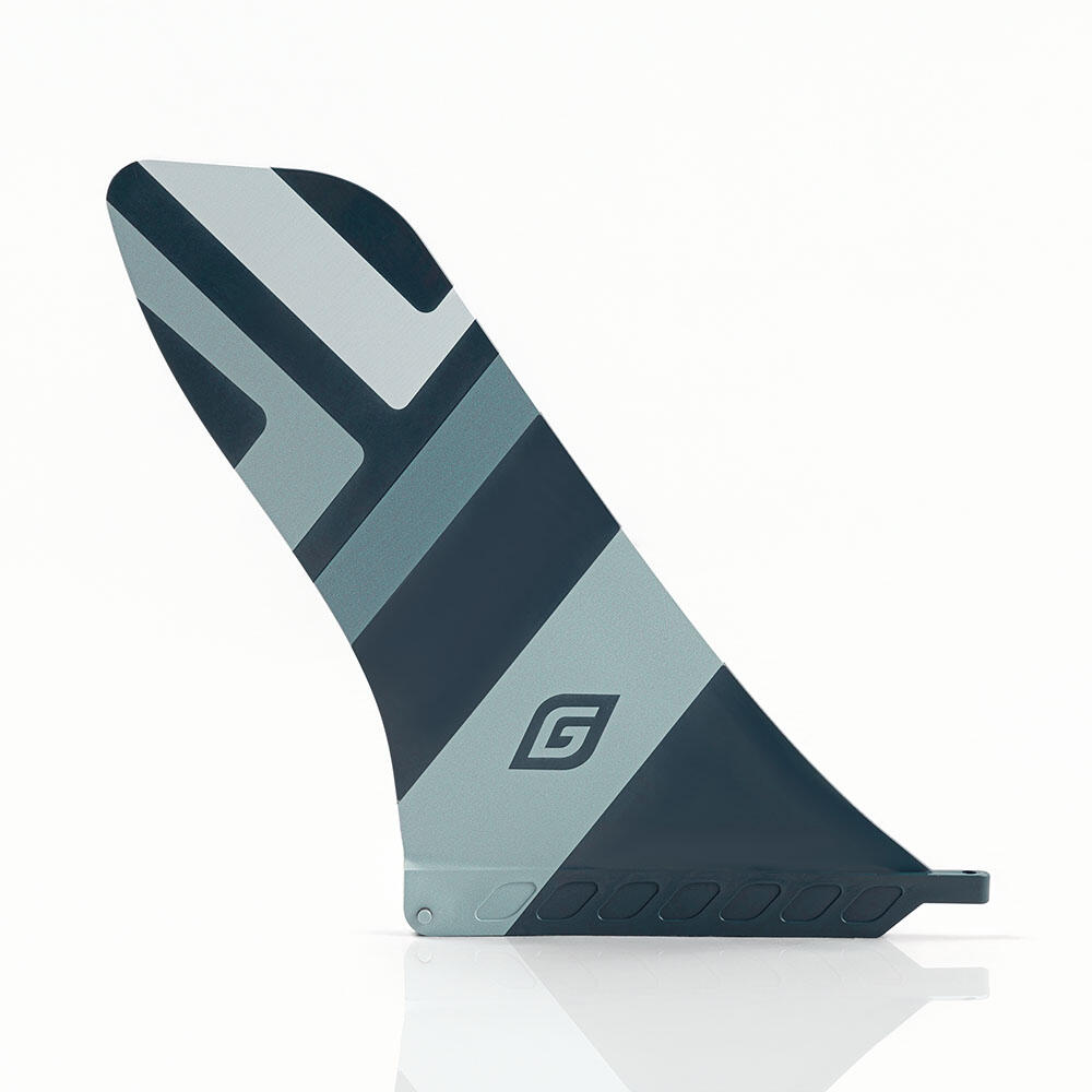 GLADIATOR picture
