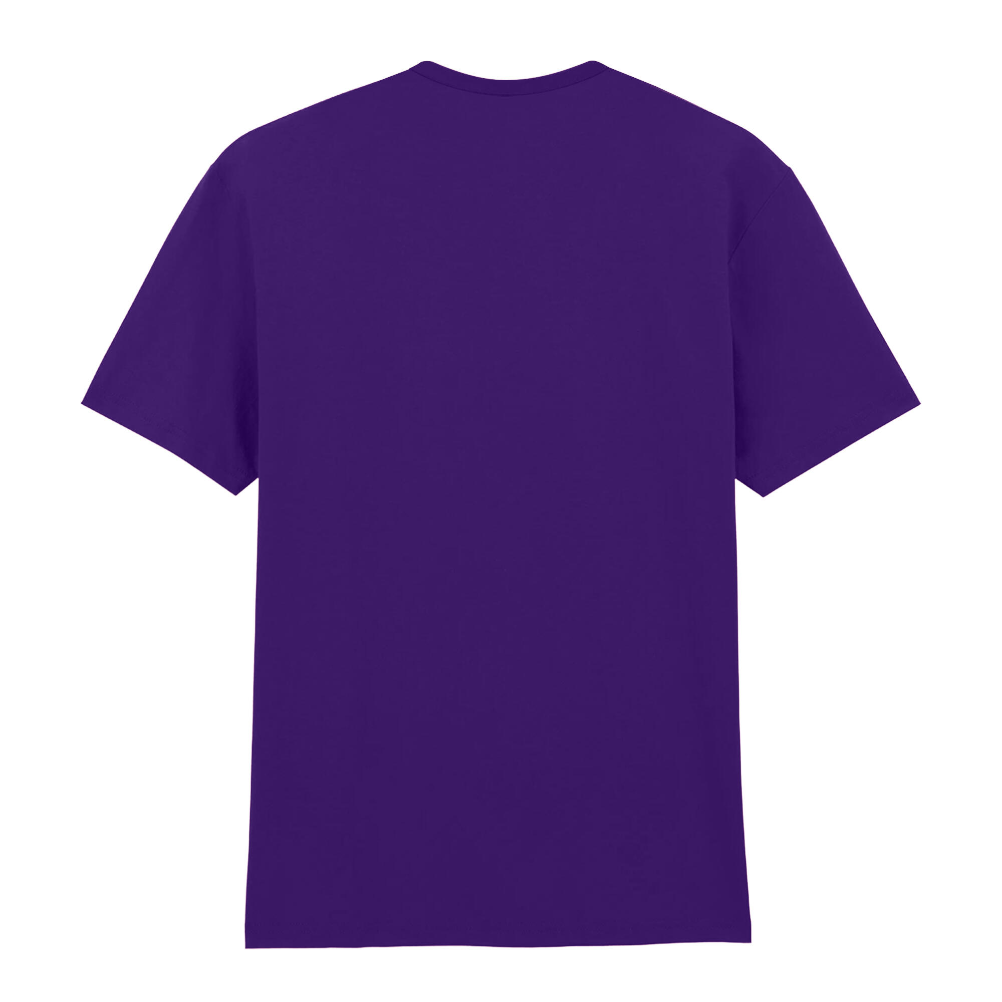 Mens Plain Lightweight TShirt (Purple) 2/3