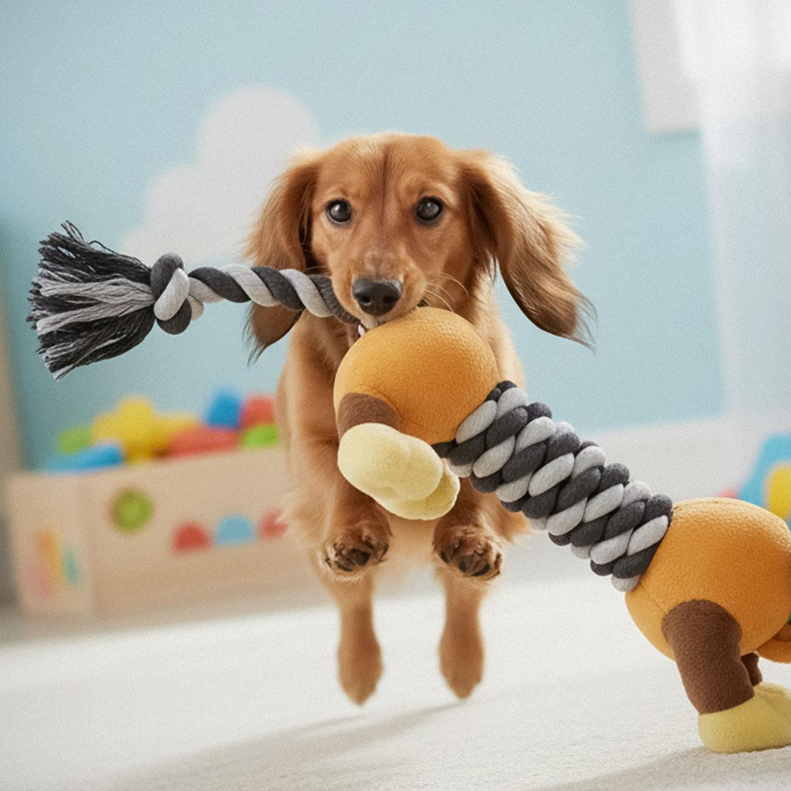 Jouet pour chien Toy Story, corde dentaire avec peluche, marron et gris 7/7