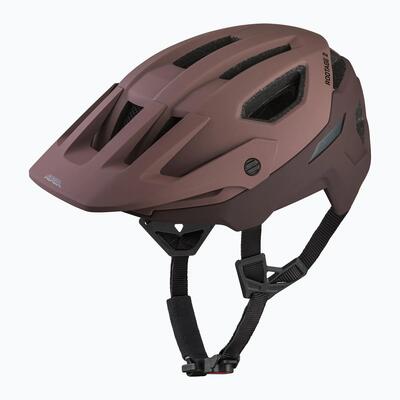 Fietshelm alpina rootage 2