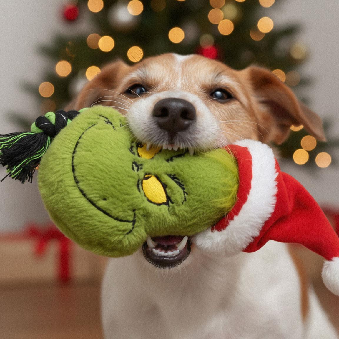 Jouet pour chien Le Grinch, corde dentaire avec peluche verte et rouge 7/7