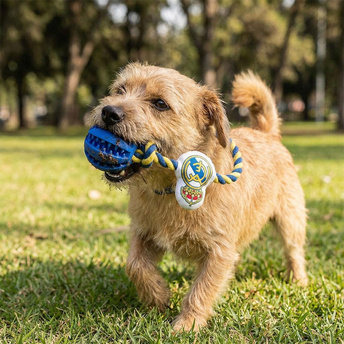 Jouet pour chien Real Madrid, corde avec balle dentaire en caoutchouc bleu 6/6