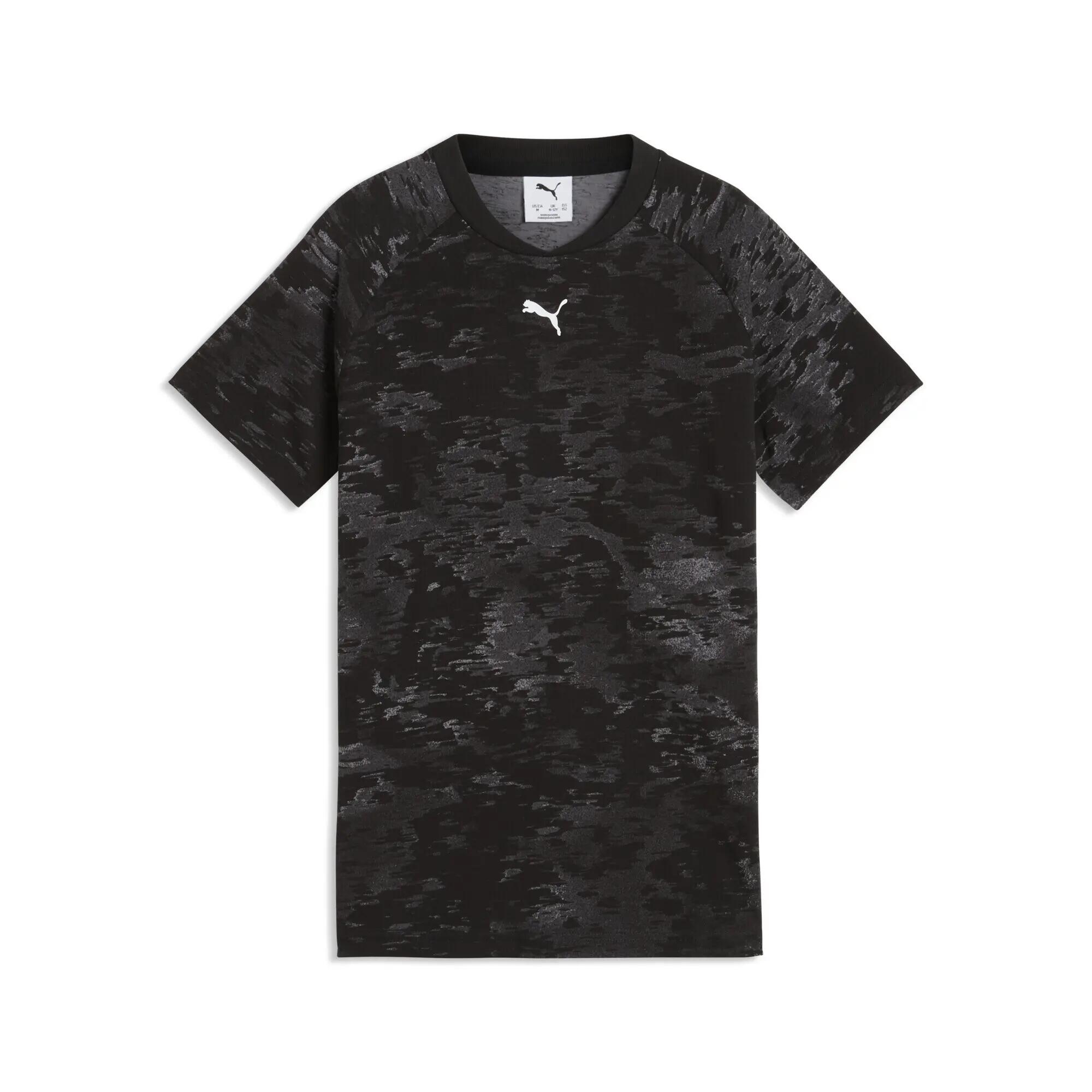 PUMA picture