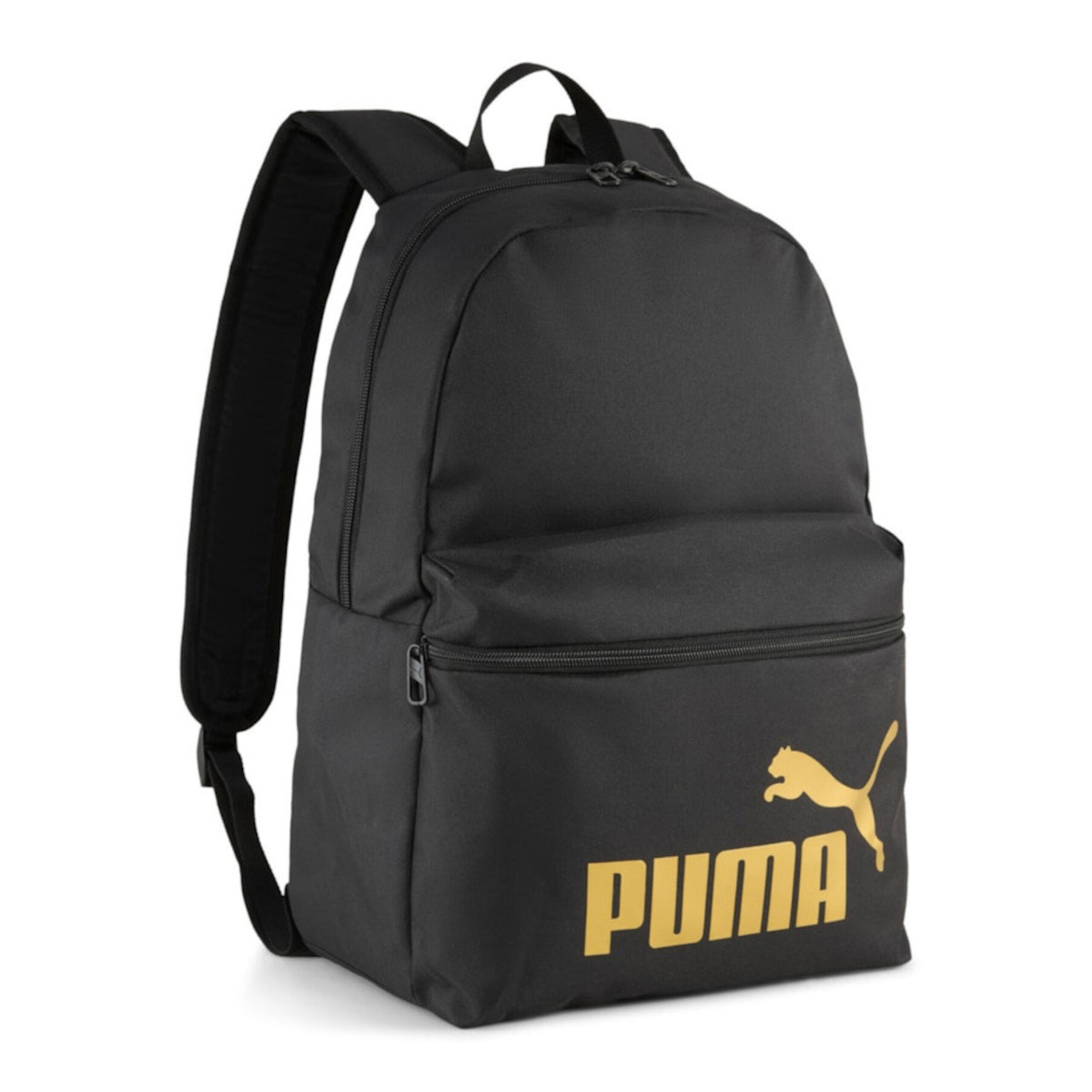 PUMA picture