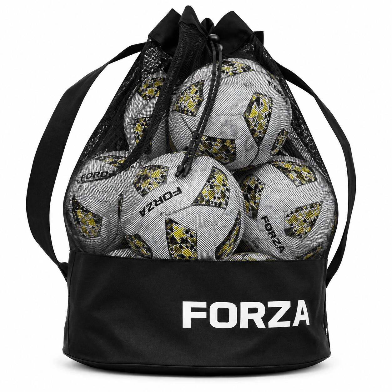 FORZA picture