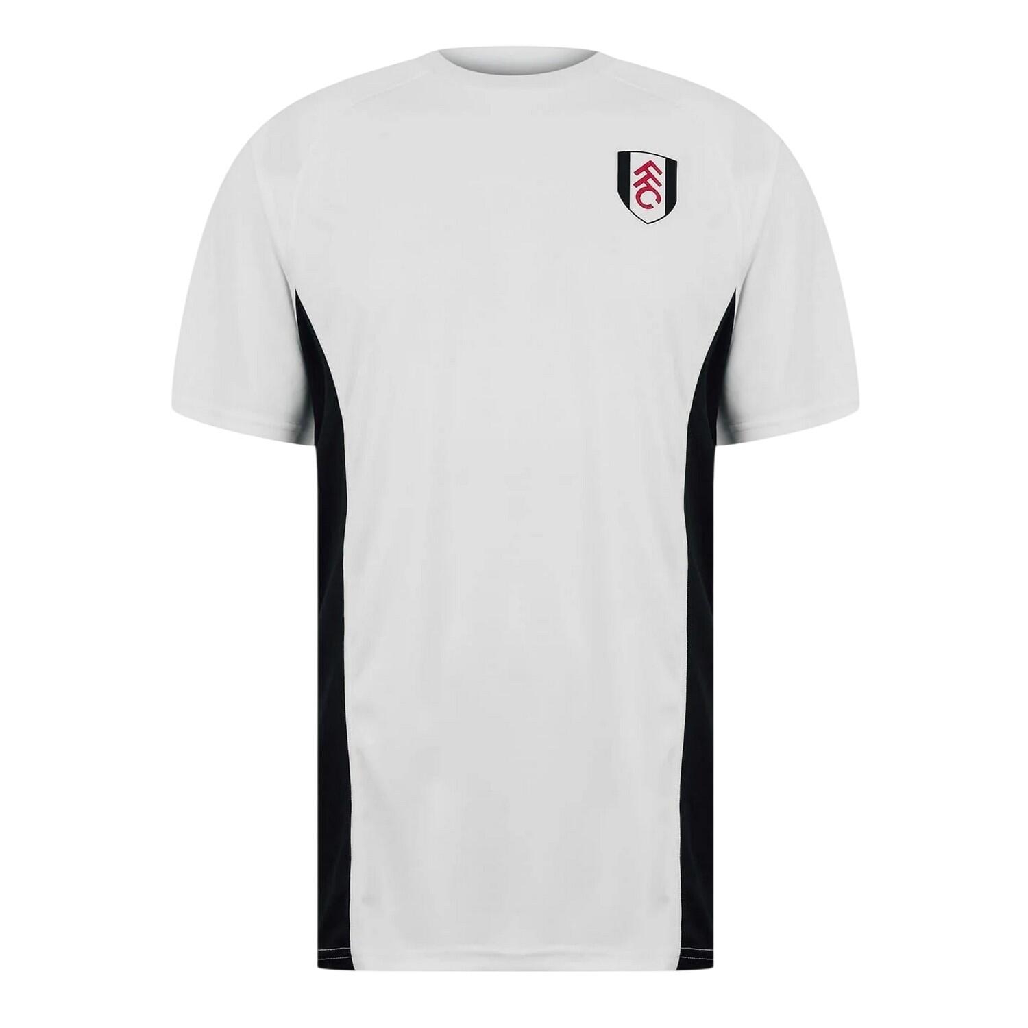 FULHAM FC picture
