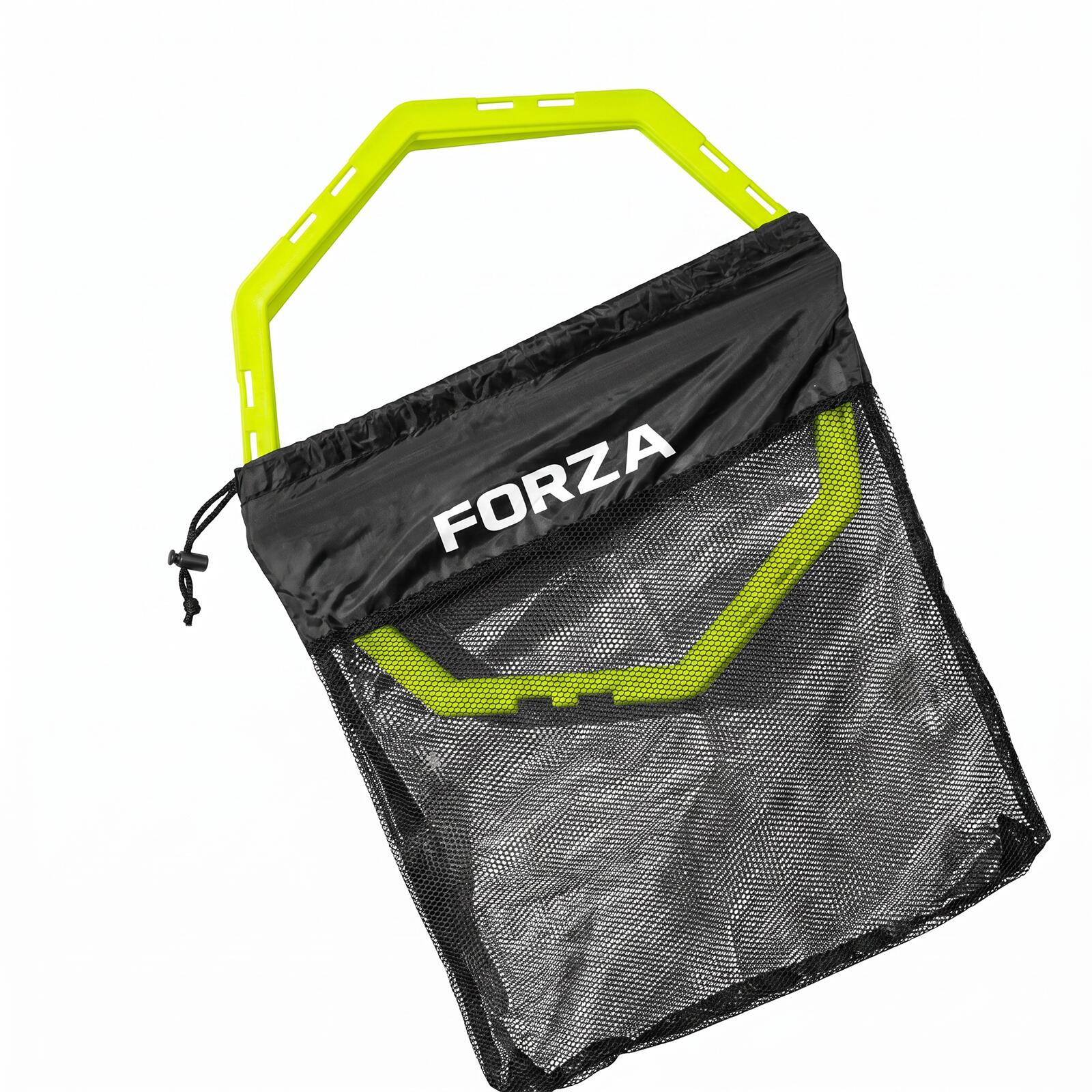 FORZA picture