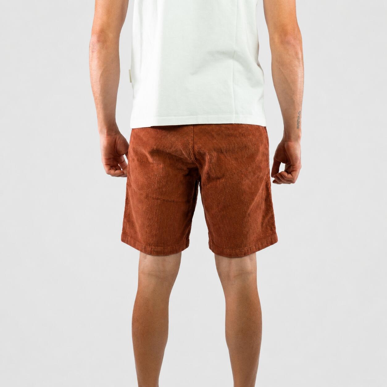 Klettern-Trekking Short Russet Man Hosen 2/7