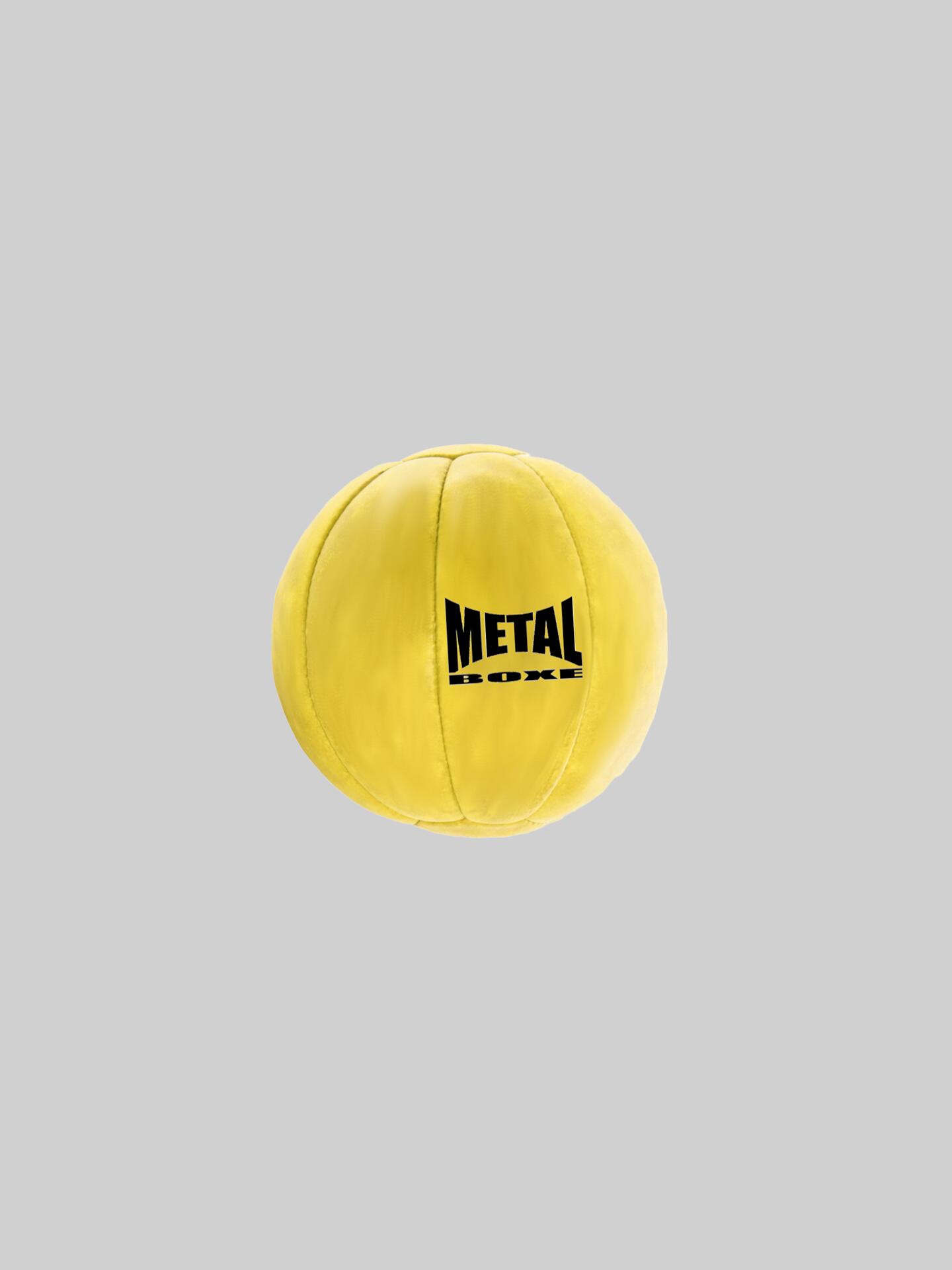 Medizinball Metal Boxe 7/7