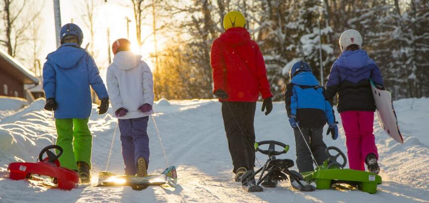 Luge 2 places avec freins "Sno Glider" Hamax 5/5