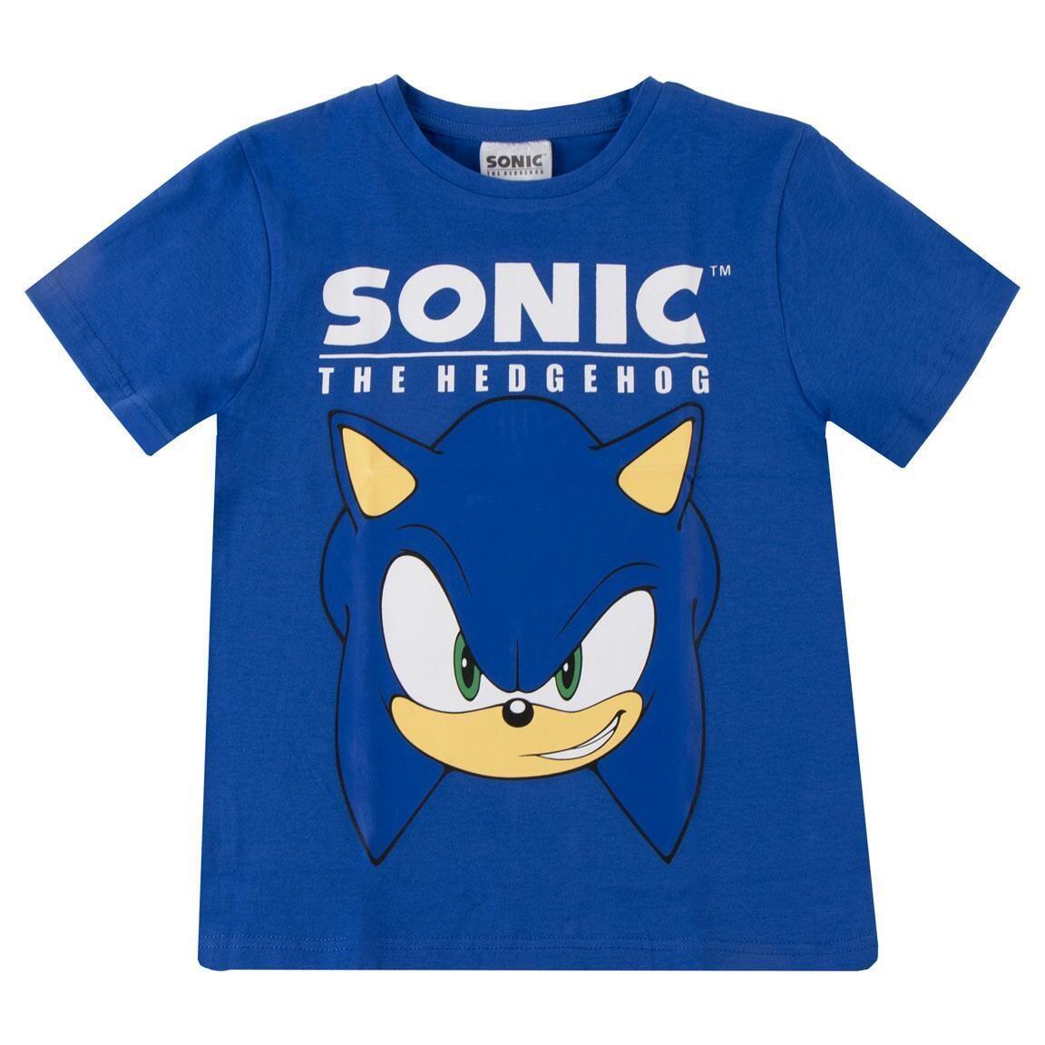 SONIC THE HEDGEHOG picture