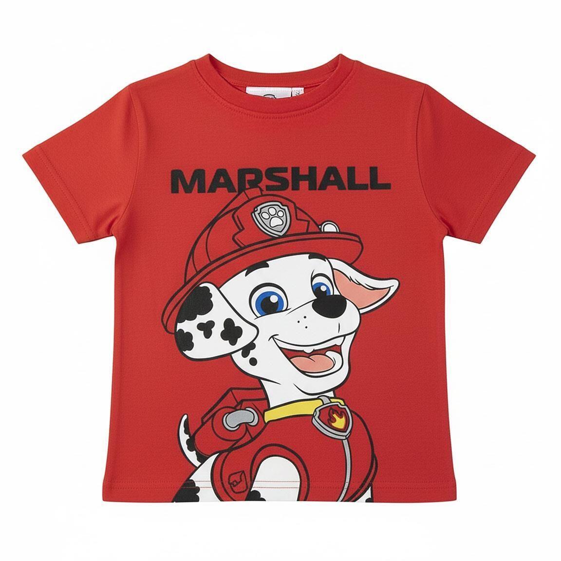 PAW PATROL picture