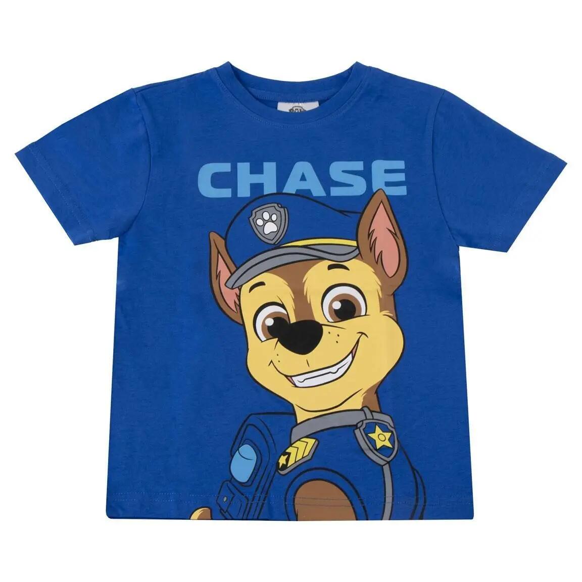 PAW PATROL picture