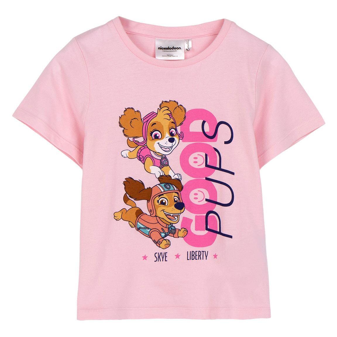 PAW PATROL picture