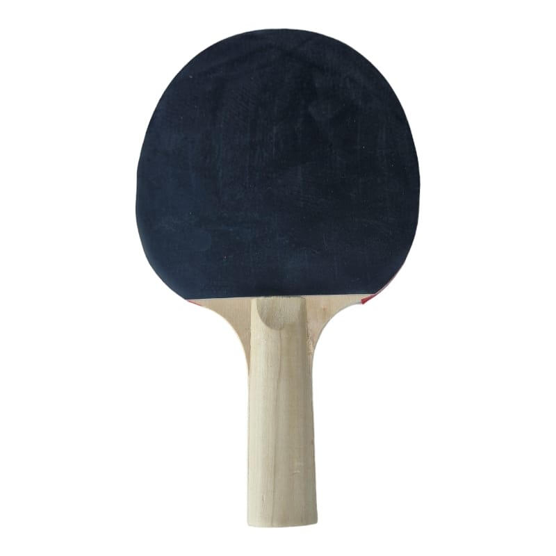 Set 2 palete tenis masa Master + 3 mingi si husa